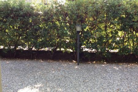 Residence Apuamare 彼得拉桑塔 外观 照片